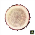 Rustic Wood Slices for rent in Sri Lanka