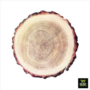 Rent Stuffs provides range of wood slices for rent in Colombo, Sri Lanka. We have selection wood slices in various sizes for rent specially for wedding events.