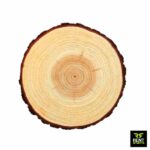 Wood Slices for Rent in Sri Lanka