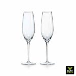 Champagne Flute glass for Rent